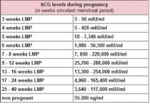 hCG-levels.jpg