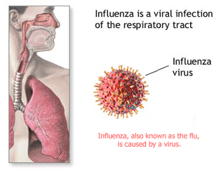 flu_banner.gif