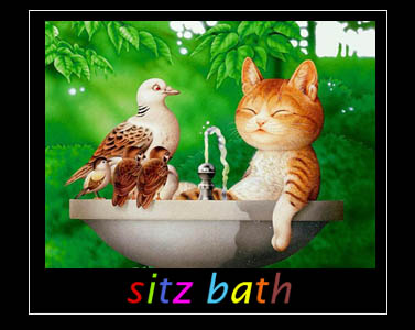 sitz%20bath%202.jpg